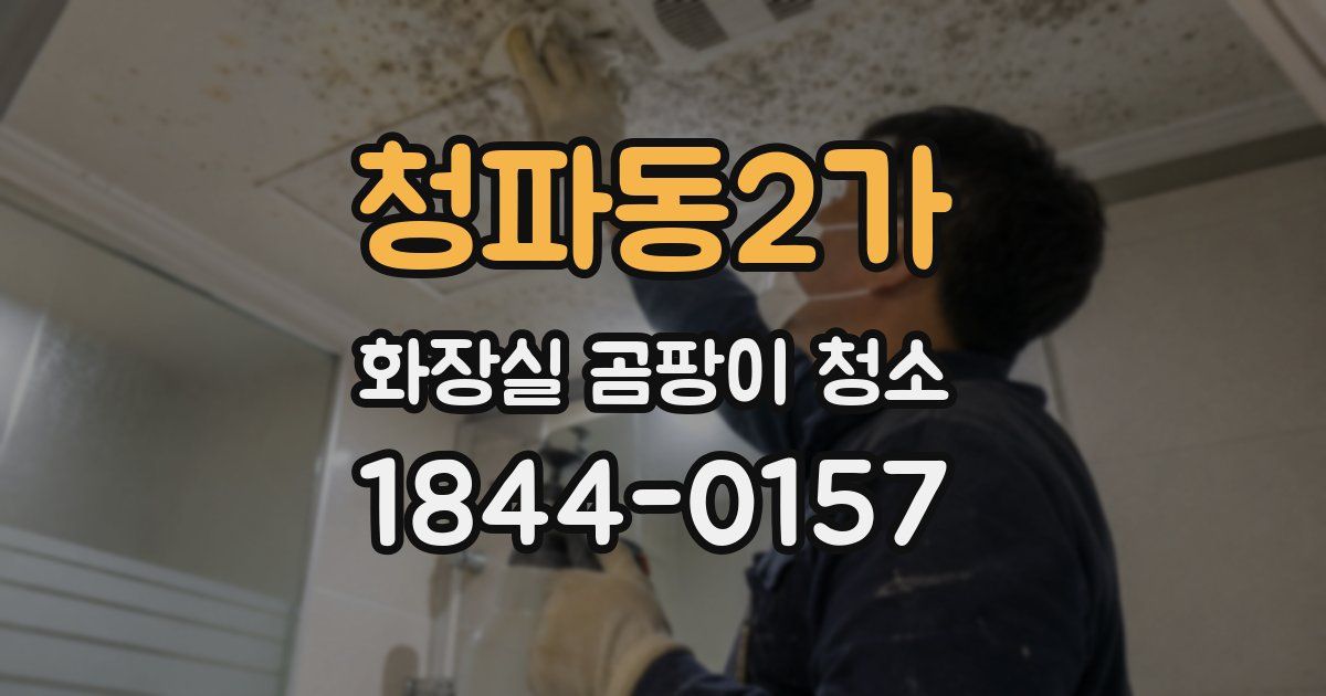 청파동2가 화장실 곰팡이 청소