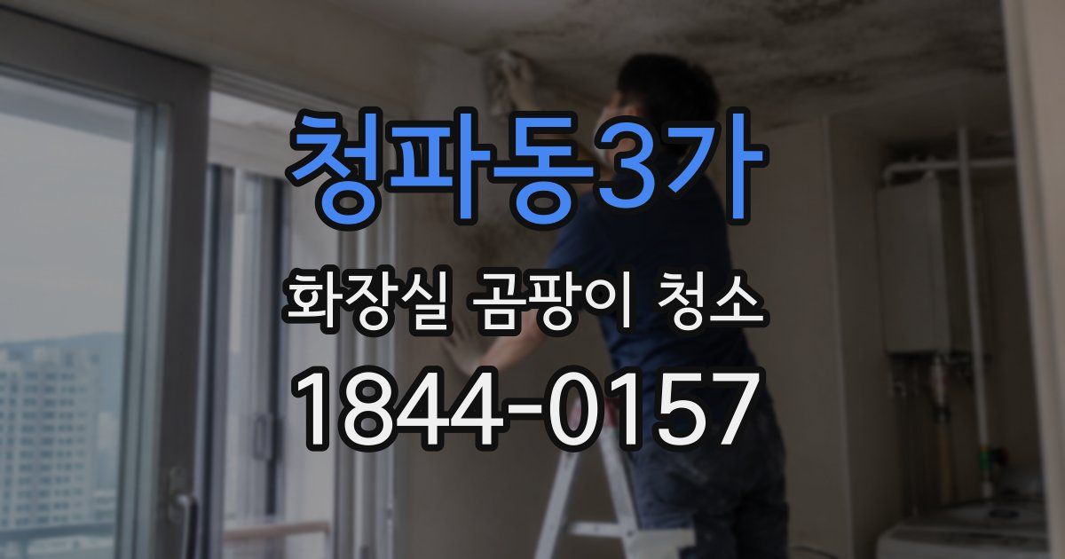 청파동3가 화장실 곰팡이 청소