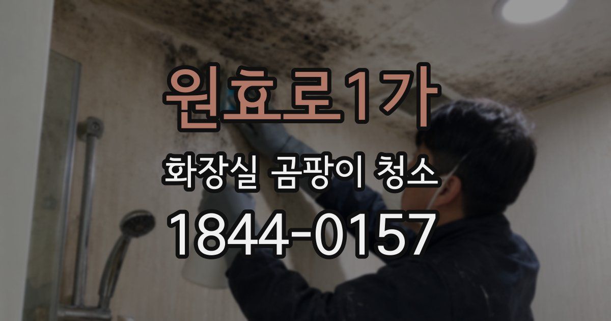 원효로1가 화장실 곰팡이 청소