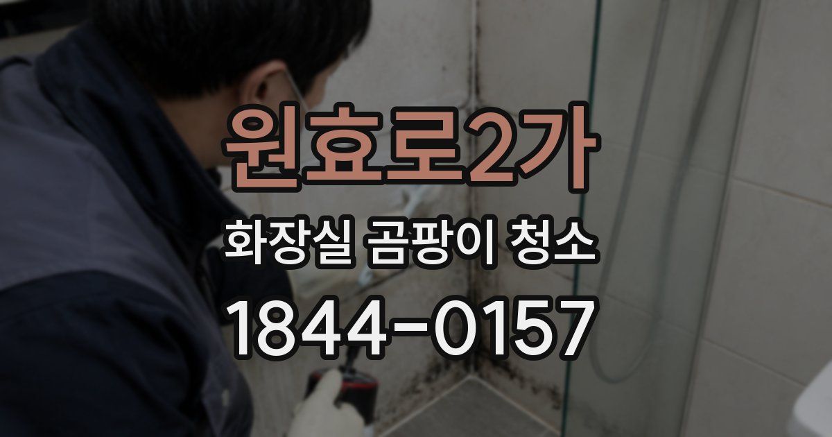 원효로2가 화장실 곰팡이 청소