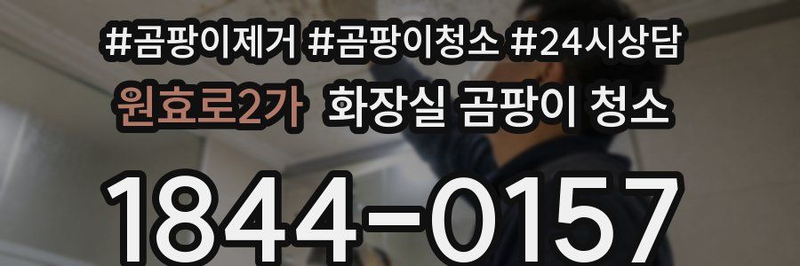 원효로2가 화장실 곰팡이 청소