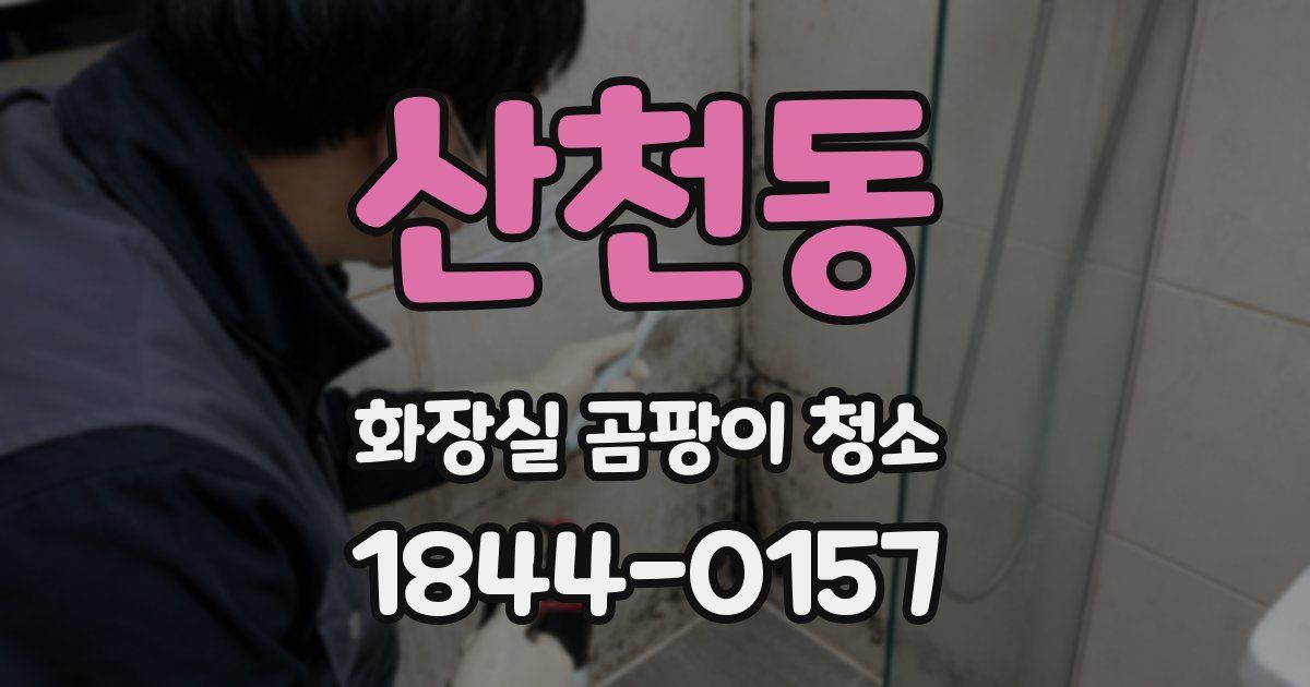 산천동 화장실 곰팡이 청소