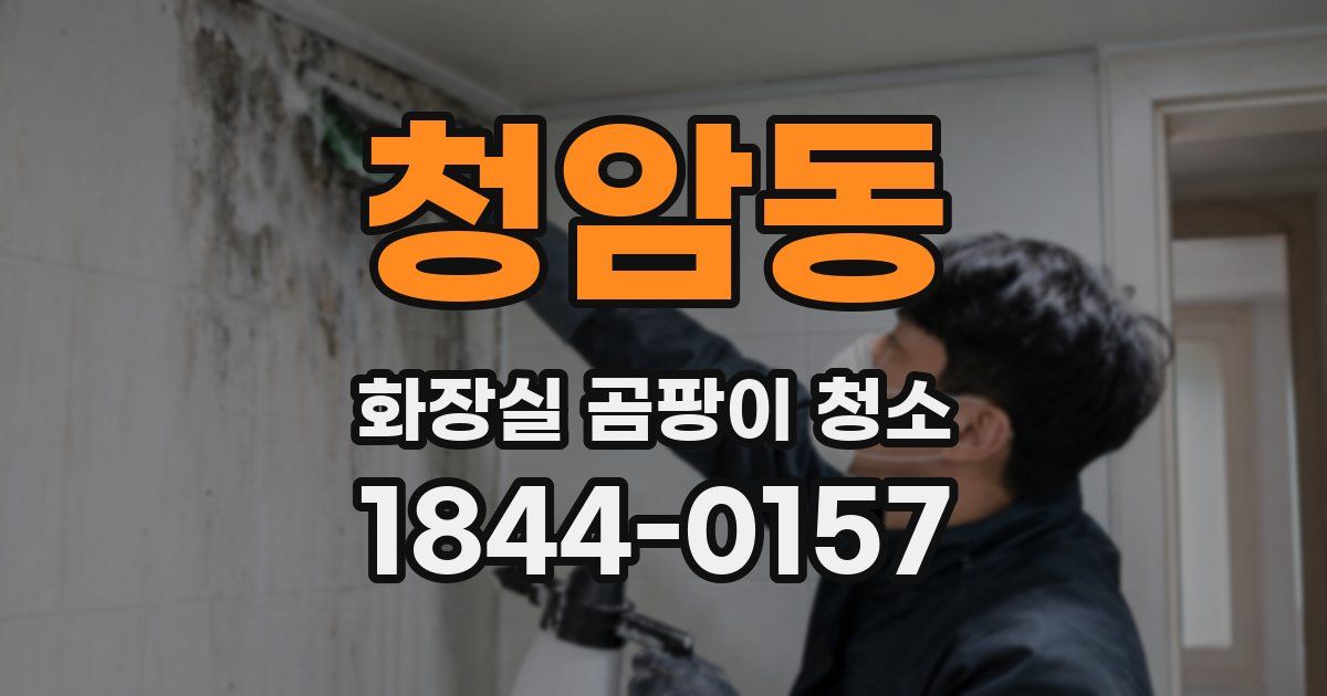 청암동 화장실 곰팡이 청소