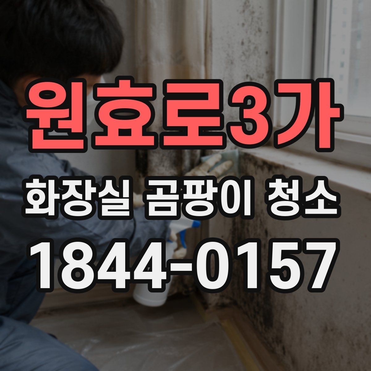 원효로3가 화장실 곰팡이 청소 환기 약한 공간에서 냄새를 줄이는 방법