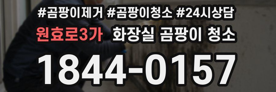 원효로3가 화장실 곰팡이 청소