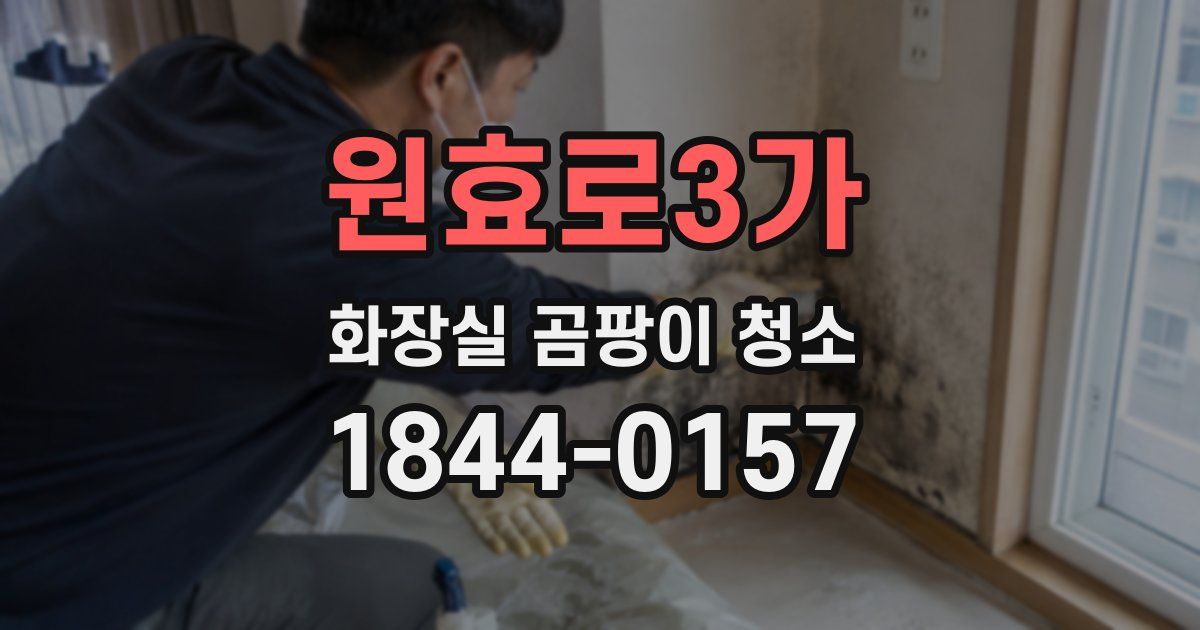 원효로3가 화장실 곰팡이 청소