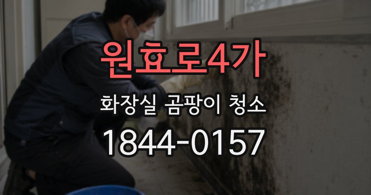 원효로4가 화장실 곰팡이 청소