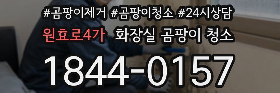 원효로4가 화장실 곰팡이 청소