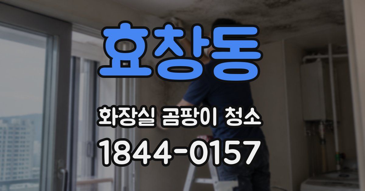 효창동 화장실 곰팡이 청소
