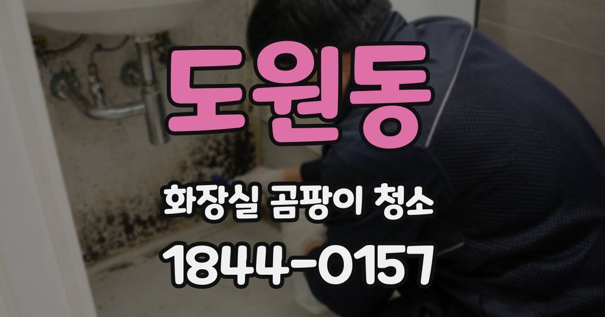 도원동 화장실 곰팡이 청소