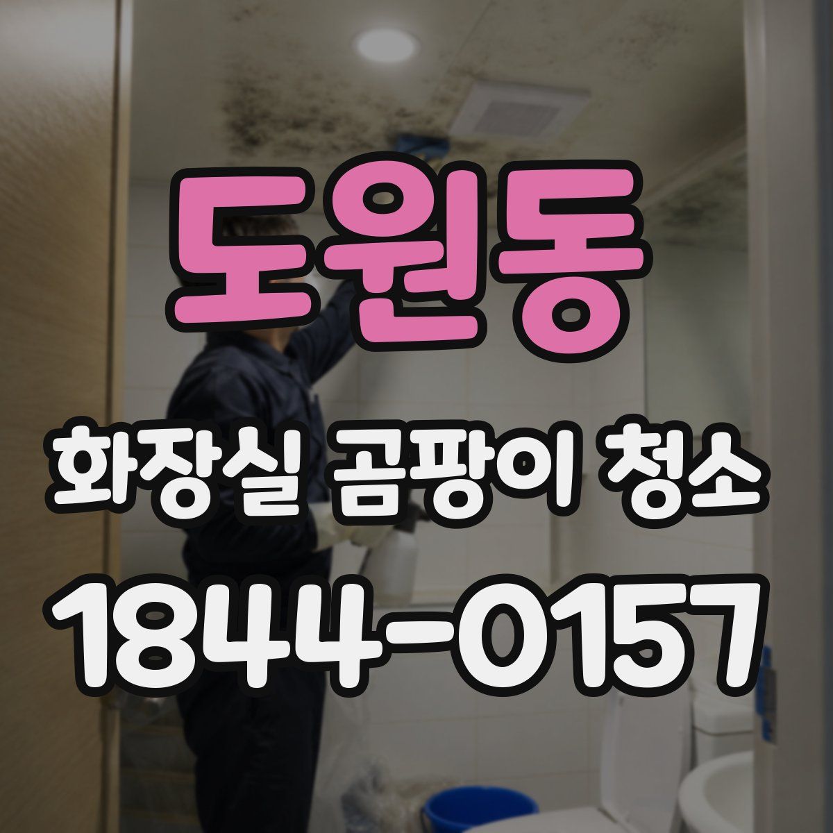 도원동 화장실 곰팡이 청소