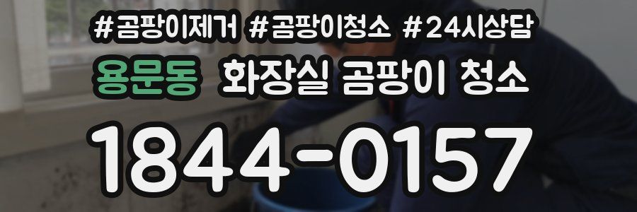 용문동 화장실 곰팡이 청소
