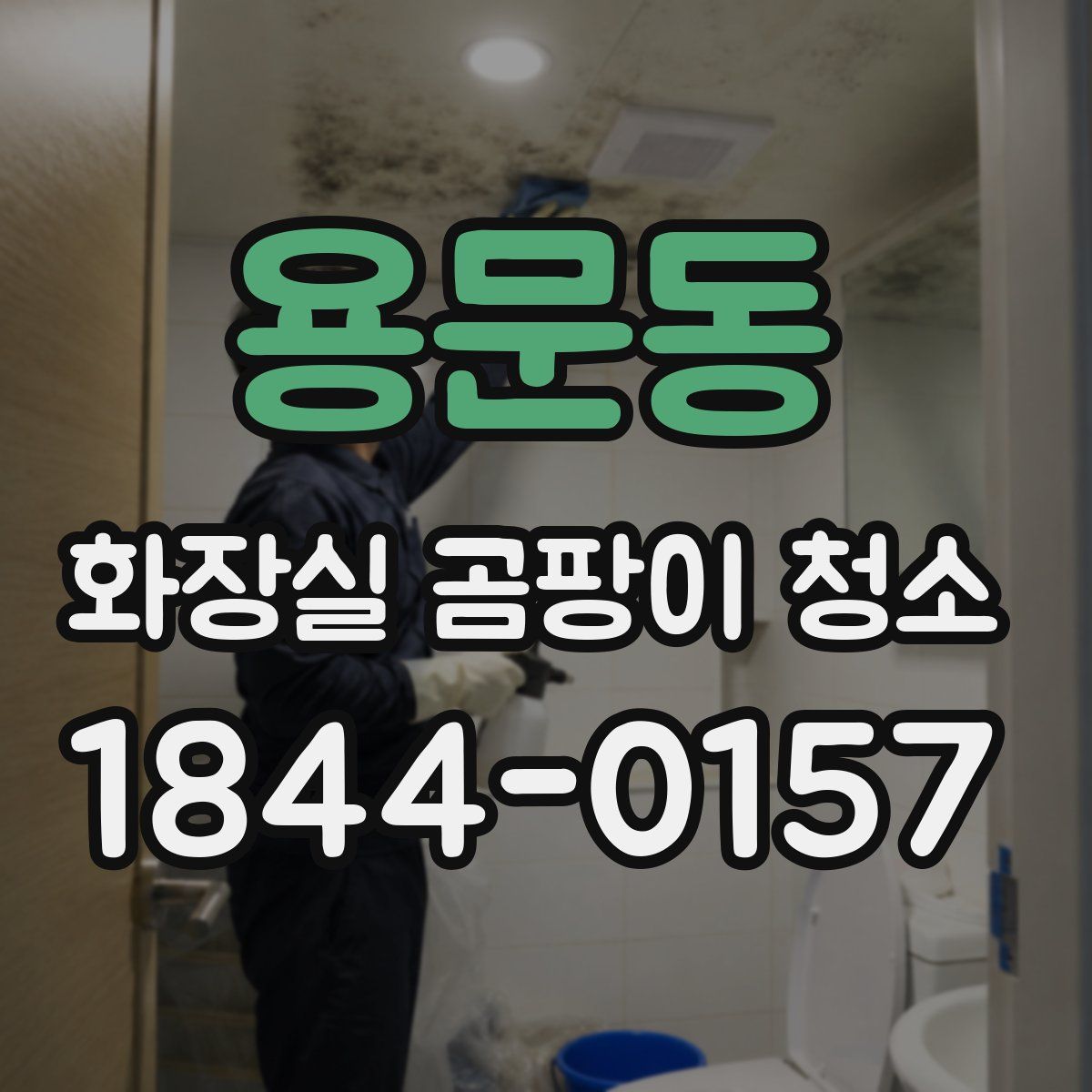 용문동 화장실 곰팡이 청소