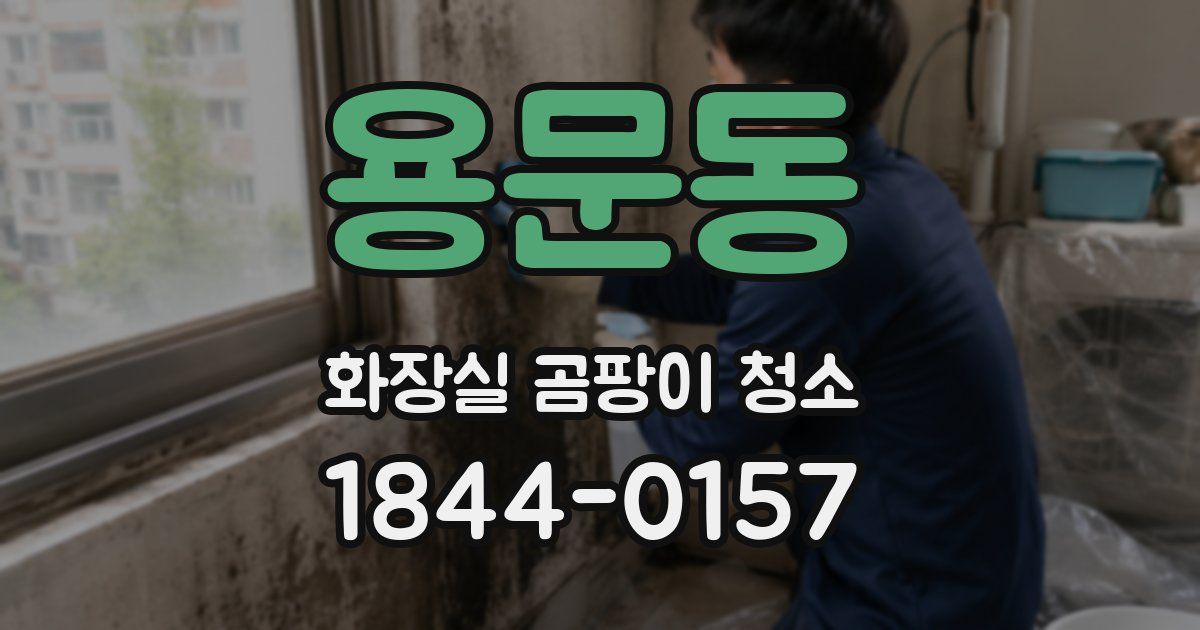 용문동 화장실 곰팡이 청소