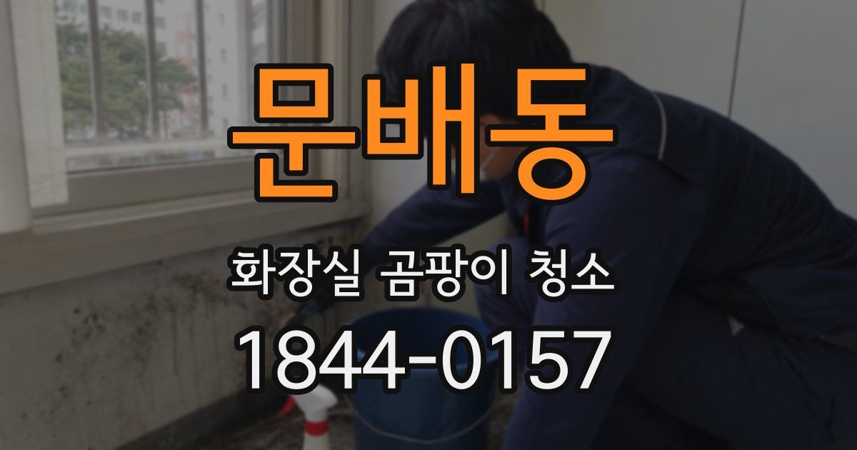 문배동 화장실 곰팡이 청소