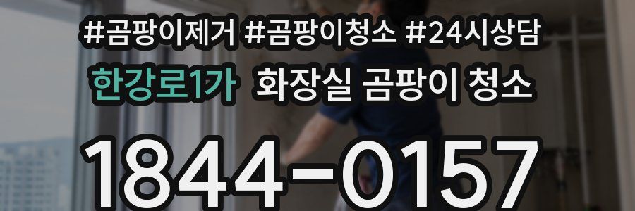 한강로1가 화장실 곰팡이 청소