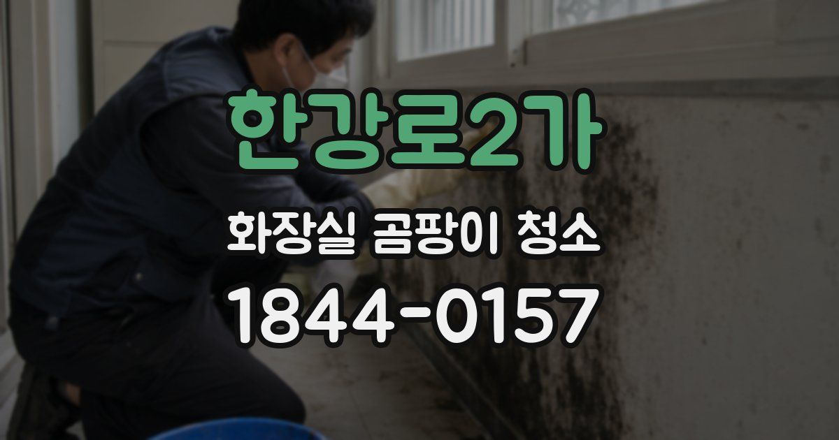 한강로2가 화장실 곰팡이 청소