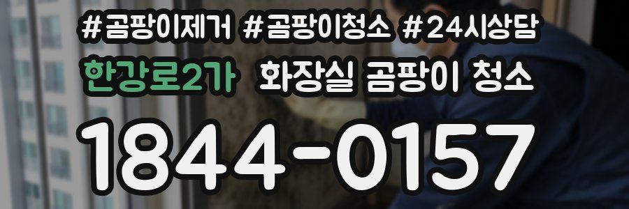 한강로2가 화장실 곰팡이 청소