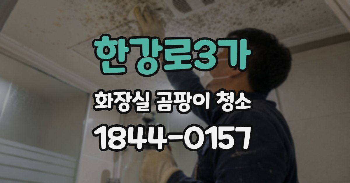 한강로3가 화장실 곰팡이 청소