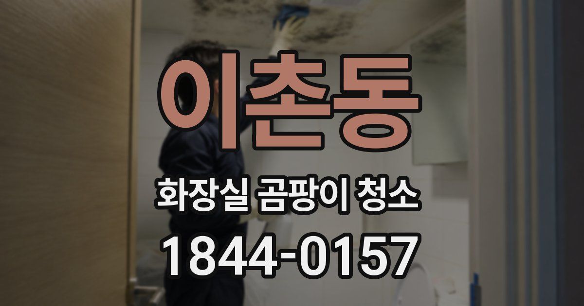 이촌동 화장실 곰팡이 청소