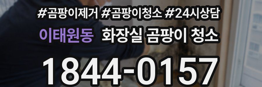 이태원동 화장실 곰팡이 청소
