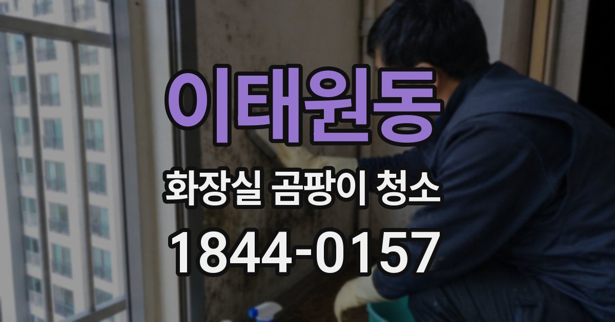이태원동 화장실 곰팡이 청소