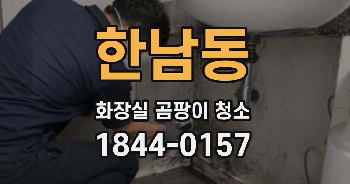 한남동 화장실 곰팡이 청소