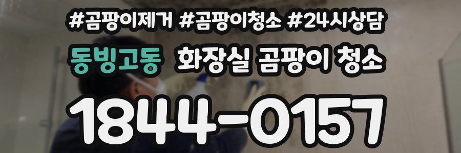 동빙고동 화장실 곰팡이 청소