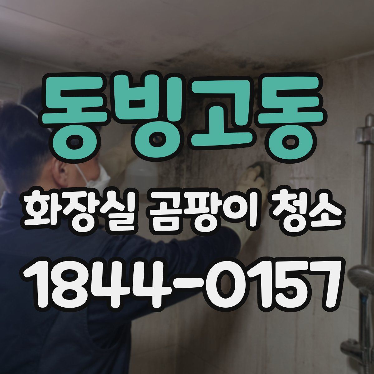 동빙고동 화장실 곰팡이 청소