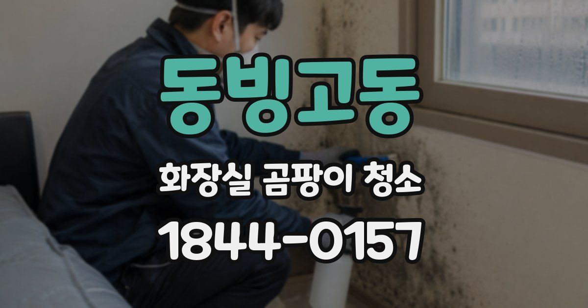 동빙고동 화장실 곰팡이 청소