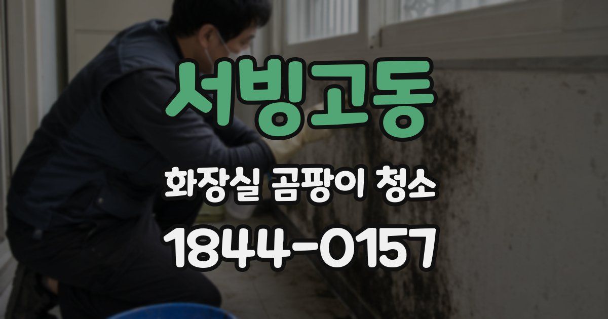 서빙고동 화장실 곰팡이 청소