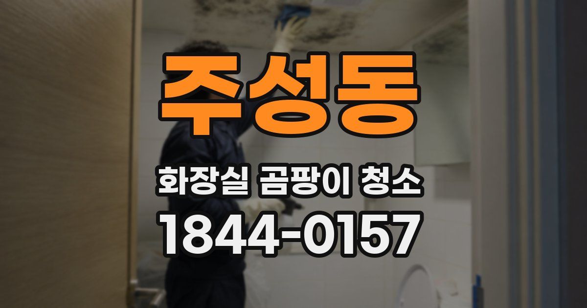 주성동 화장실 곰팡이 청소