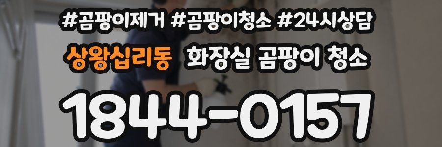 상왕십리동 화장실 곰팡이 청소