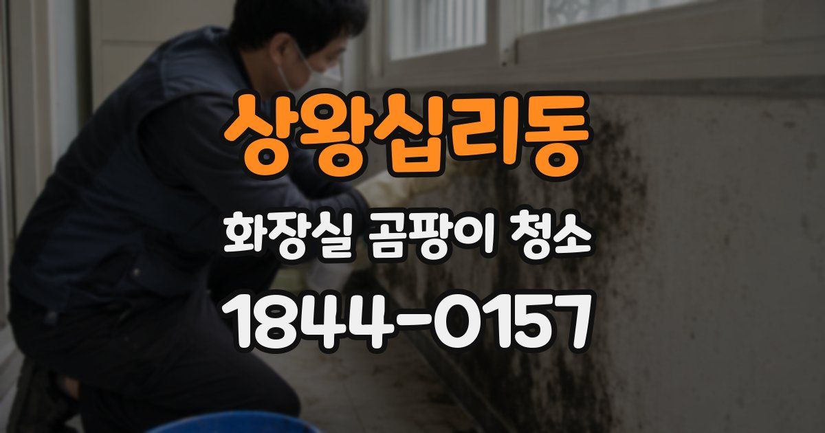 상왕십리동 화장실 곰팡이 청소