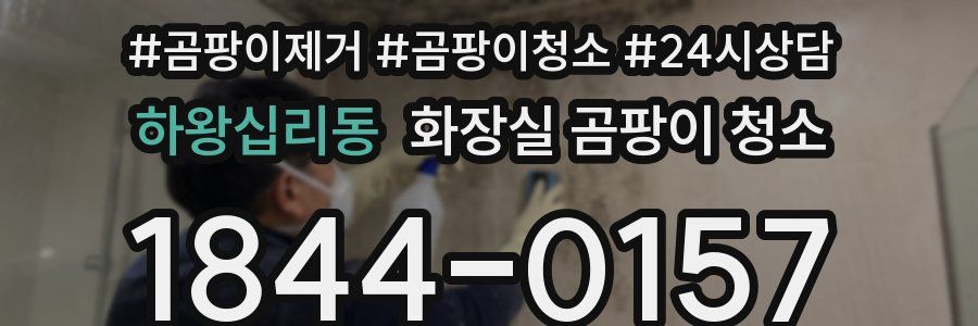 하왕십리동 화장실 곰팡이 청소