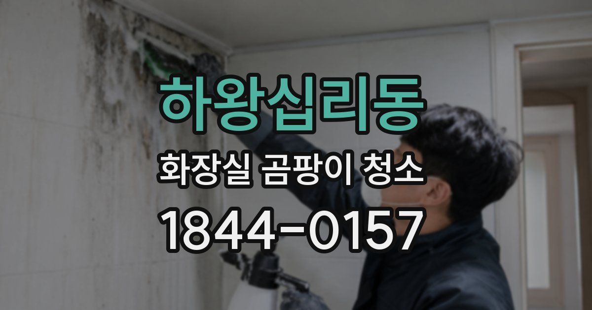 하왕십리동 화장실 곰팡이 청소