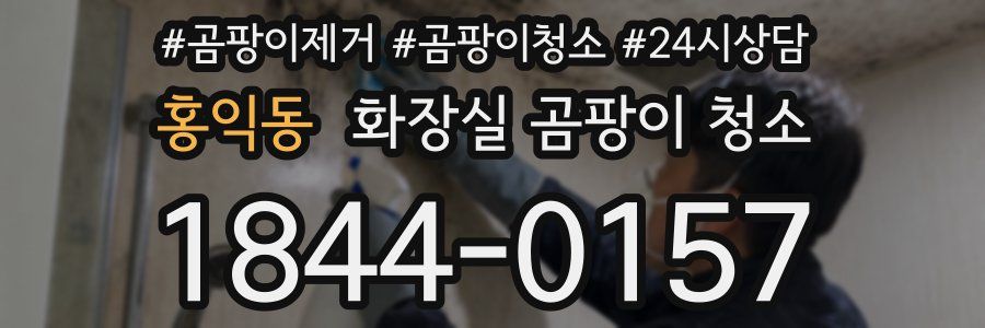 홍익동 화장실 곰팡이 청소
