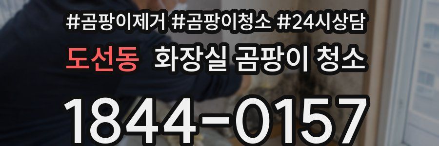 도선동 화장실 곰팡이 청소