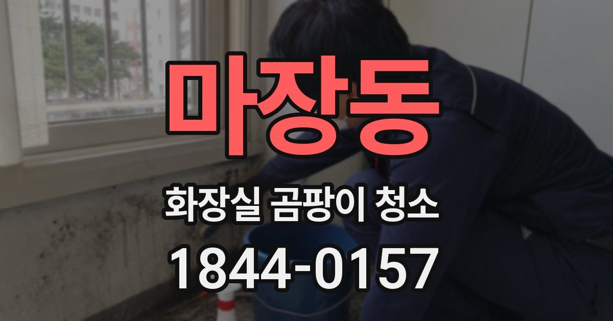 마장동 화장실 곰팡이 청소