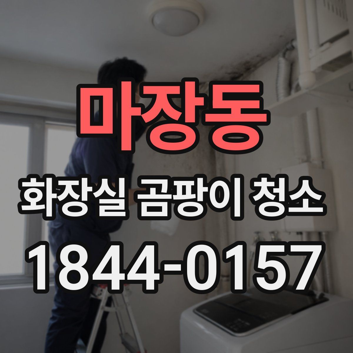 마장동 화장실 곰팡이 청소