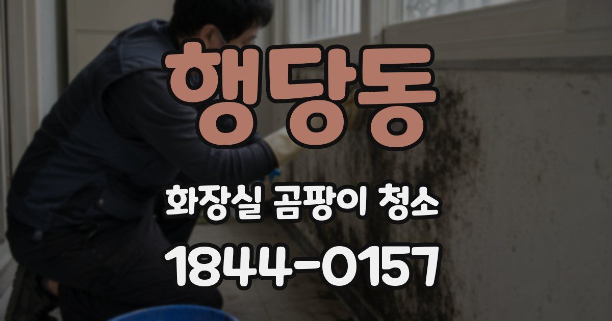 행당동 화장실 곰팡이 청소