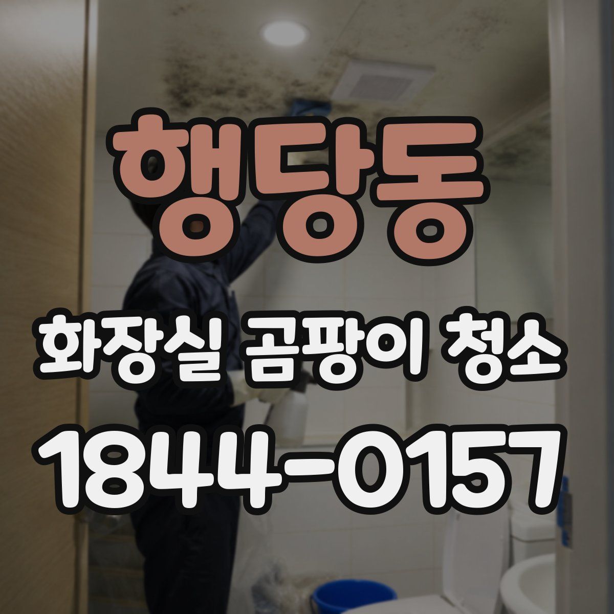 행당동 화장실 곰팡이 청소