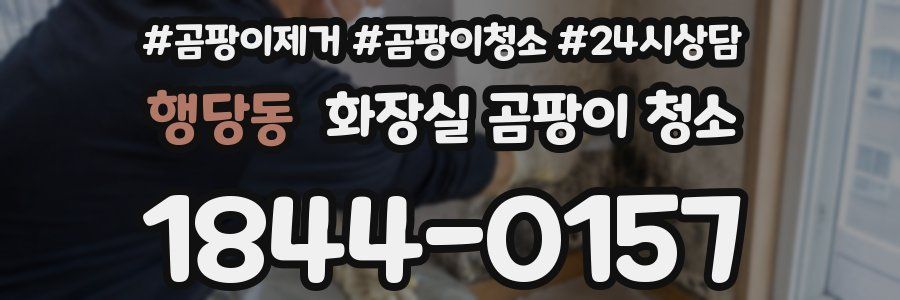 행당동 화장실 곰팡이 청소