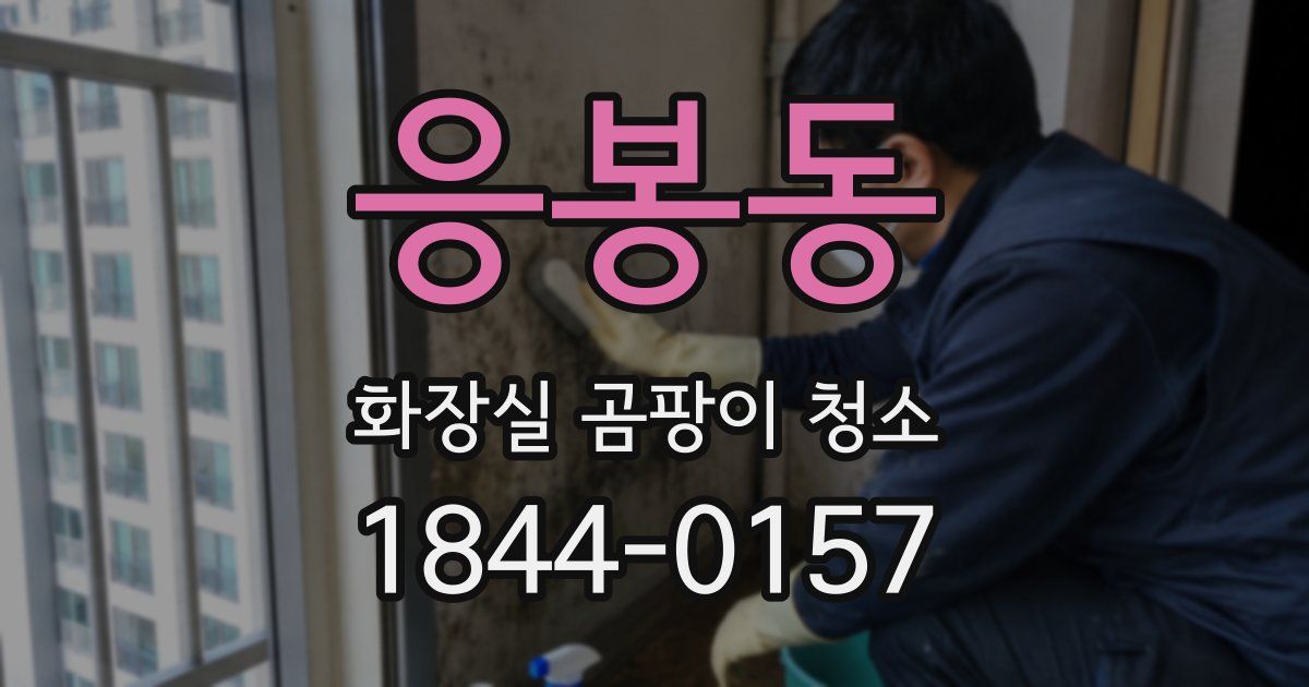 응봉동 화장실 곰팡이 청소