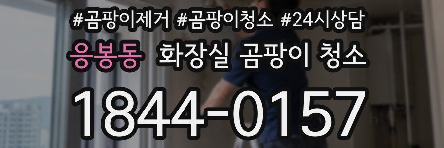 응봉동 화장실 곰팡이 청소
