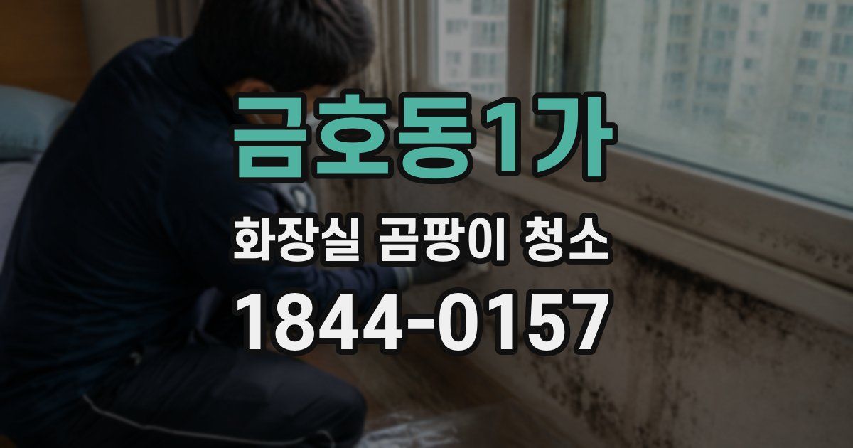 금호동1가 화장실 곰팡이 청소