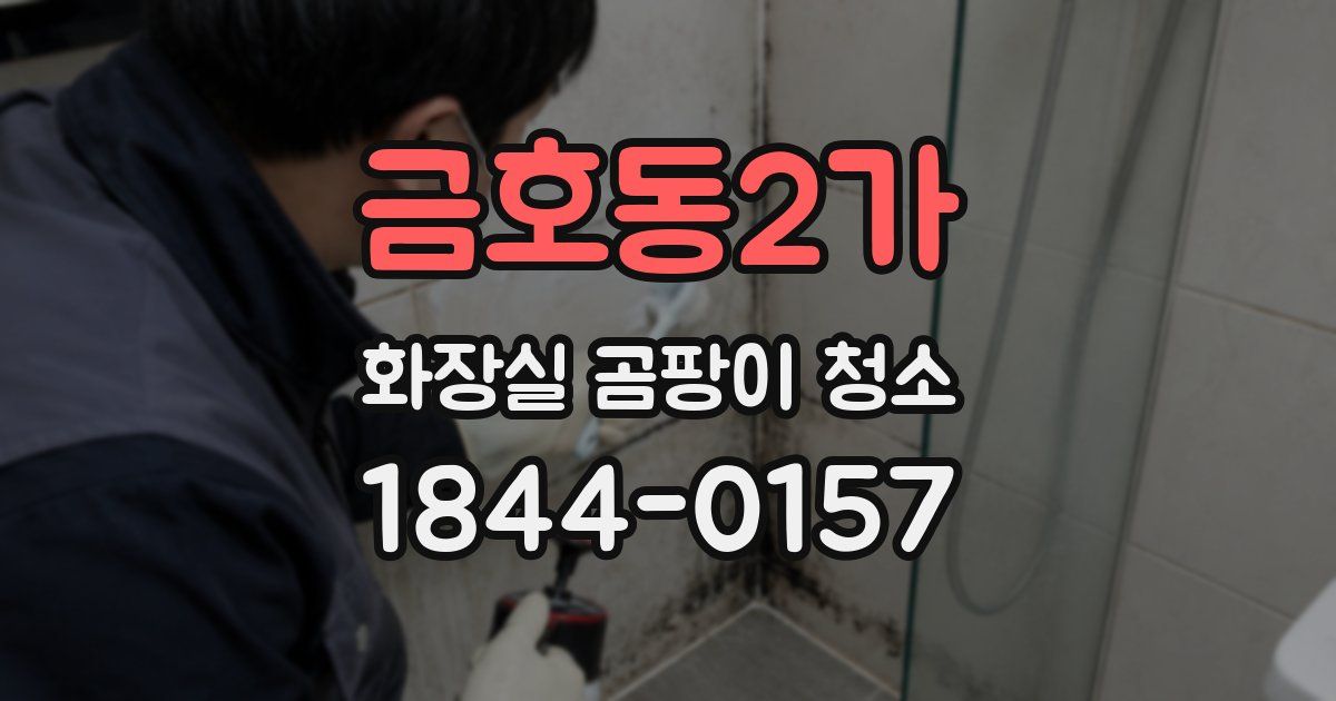 금호동2가 화장실 곰팡이 청소