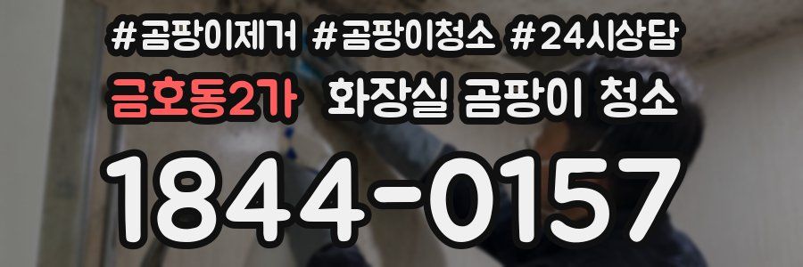금호동2가 화장실 곰팡이 청소