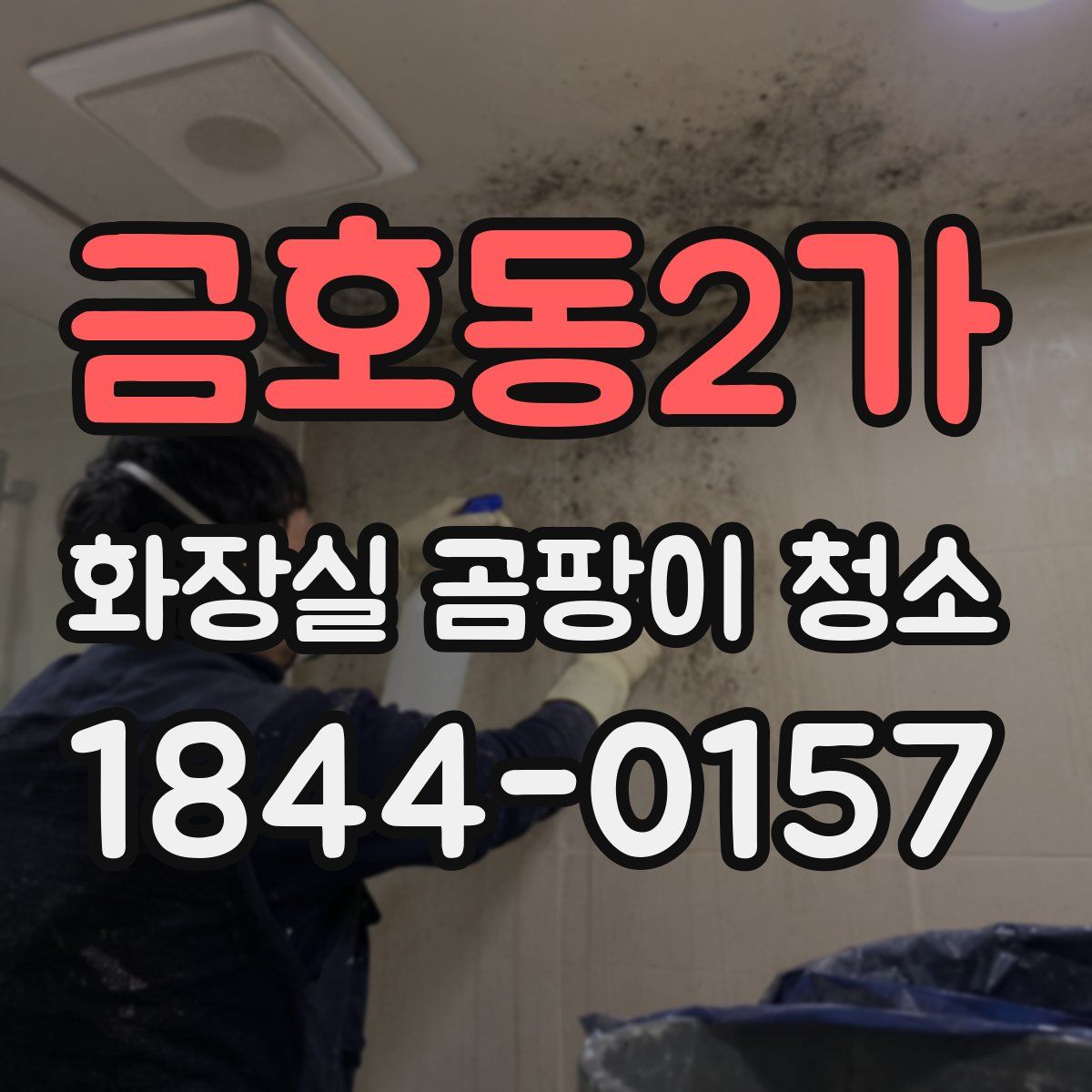 금호동2가 화장실 곰팡이 청소