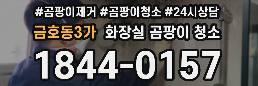 금호동3가 화장실 곰팡이 청소